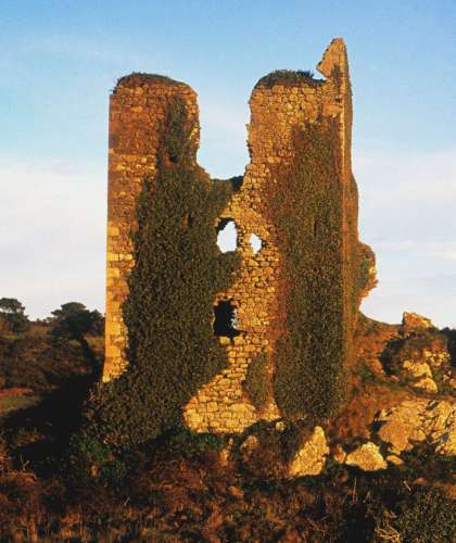 A partial view of Dunhill Castle's ancient stone tower, covered in ivy and crumbling edges, stands proudly against the clear blue sky. Nestled within the grassy, slightly hilly landscape of the Copper Coast, its large gaps whisper tales of history and resilience.