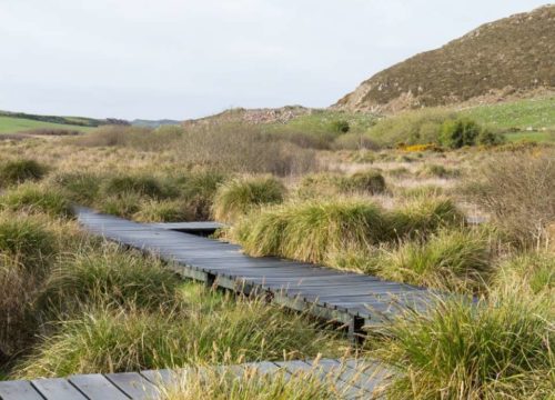 A winding wooden boardwalk traverses the grassy expanse of Fenor Bog, surrounded by lush vegetation and distant hills under the cloudy sky of the Copper Coast.