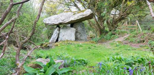 The prehistoric Gaulstown Dolmen stands surrounded by trees on the lush Copper Coast. Its large flat capstone rests on upright stones, forming a small chamber. Blue and green foliage blanket the ground in the foreground, enhancing the natural setting.