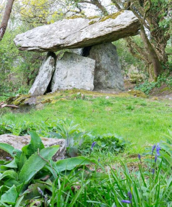 The ancient Gaulstown Dolmen sits nestled in a lush green forest on the enchanting Copper Coast, partially covered with moss. Surrounding foliage includes bluebells and various plants, with the sky partly visible through the overhanging tree branches.