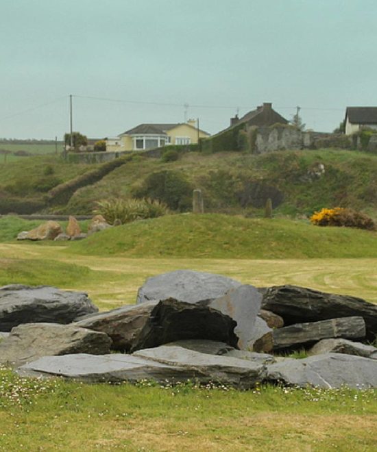 A rural landscape unfolds with a group of large gray stones in the foreground, set on green grass. This serene scene, reminiscent of a geological garden, is part of the picturesque Copper Coast, with scattered houses dotting the horizon beneath a cloudy sky.