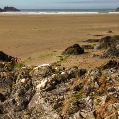 Stradbally Cove unveils a sandy beach with scattered rocks and patches of greenery stretching toward the ocean. In the distance, small rocky islands peek under a blue sky with some clouds.