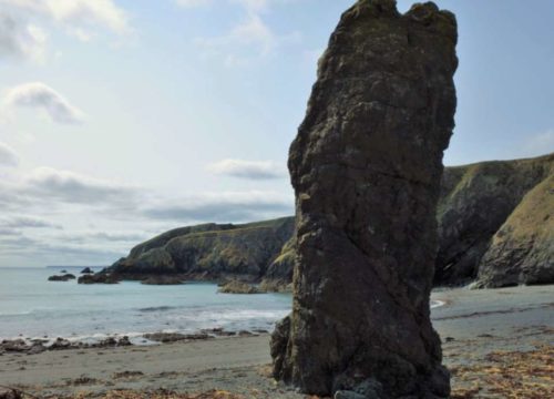 A tall, rugged sea stack stands prominently on Tra na mBo beach, with cliffs and the ocean in the background under a cloudy sky. The shoreline is covered in seaweed and pebbles, capturing the wild essence of this enchanting coastal landscape.