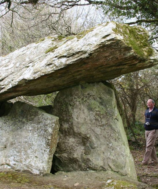 A person stands near the impressive Gaulstown Dolmen, a prehistoric stone structure nestled in the wooded beauty of the Copper Coast. Upright stones support a massive horizontal slab, surrounded by lush trees and shrubs, creating a serene ancient atmosphere.